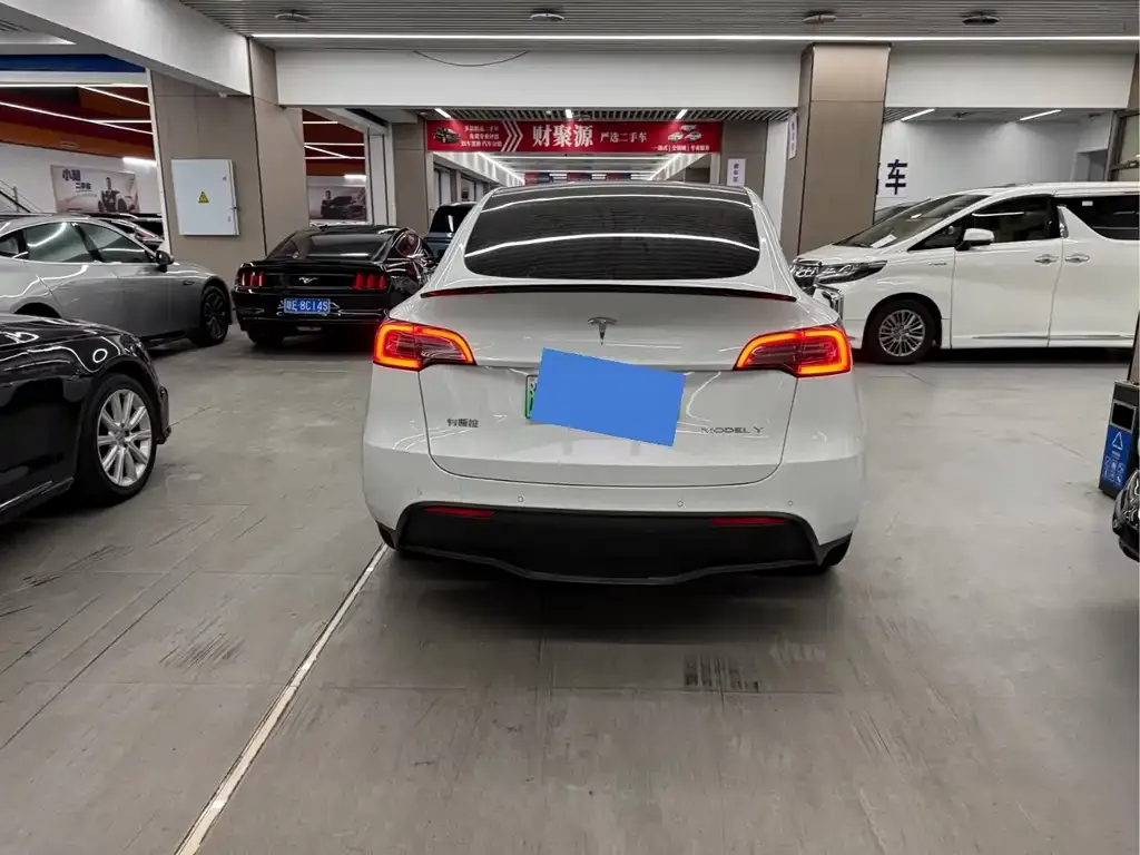 Tesla Model Y — фото 9