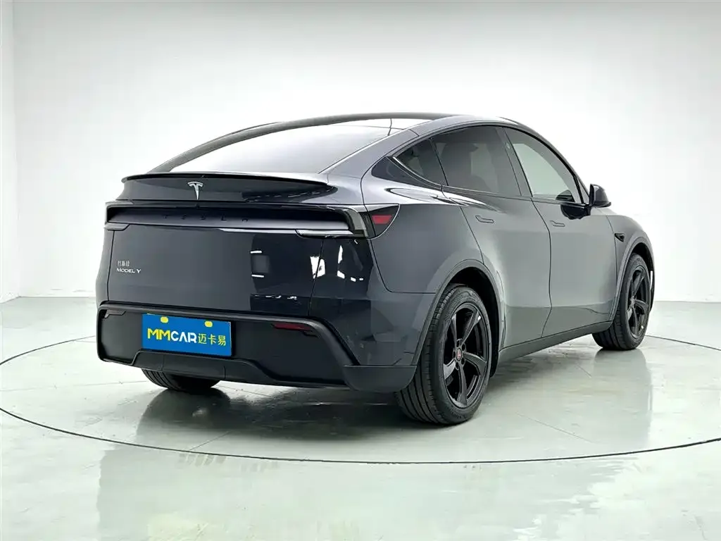 Tesla Model Y — фото 10