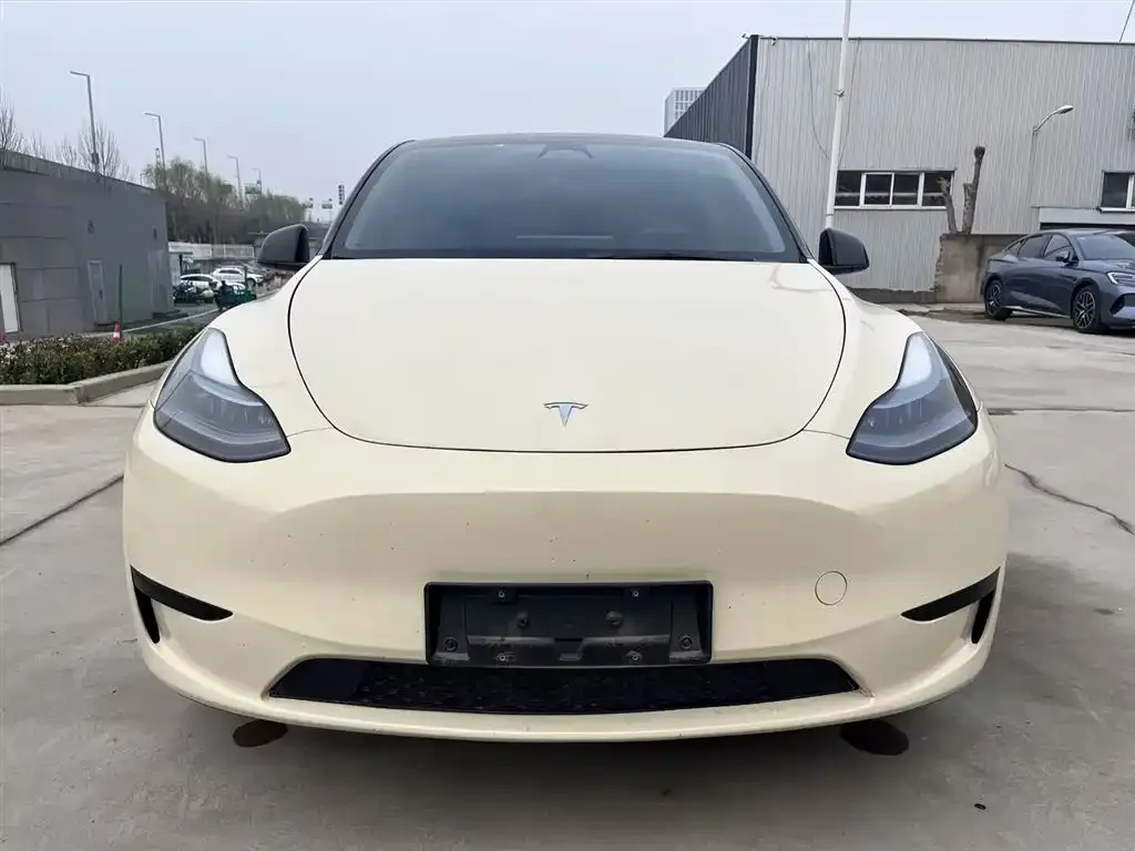 Tesla Model Y — фото 5