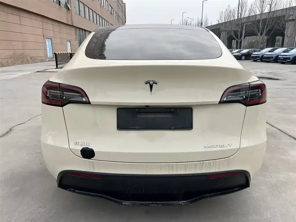 Tesla Model Y — фото 4