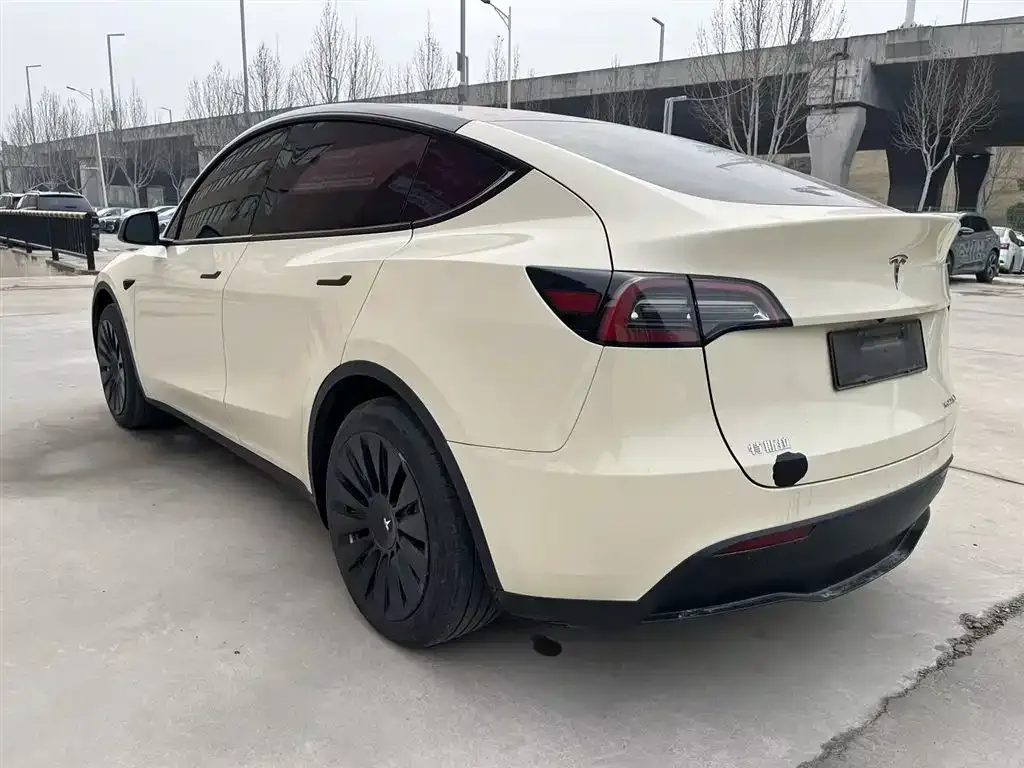 Tesla Model Y — фото 10