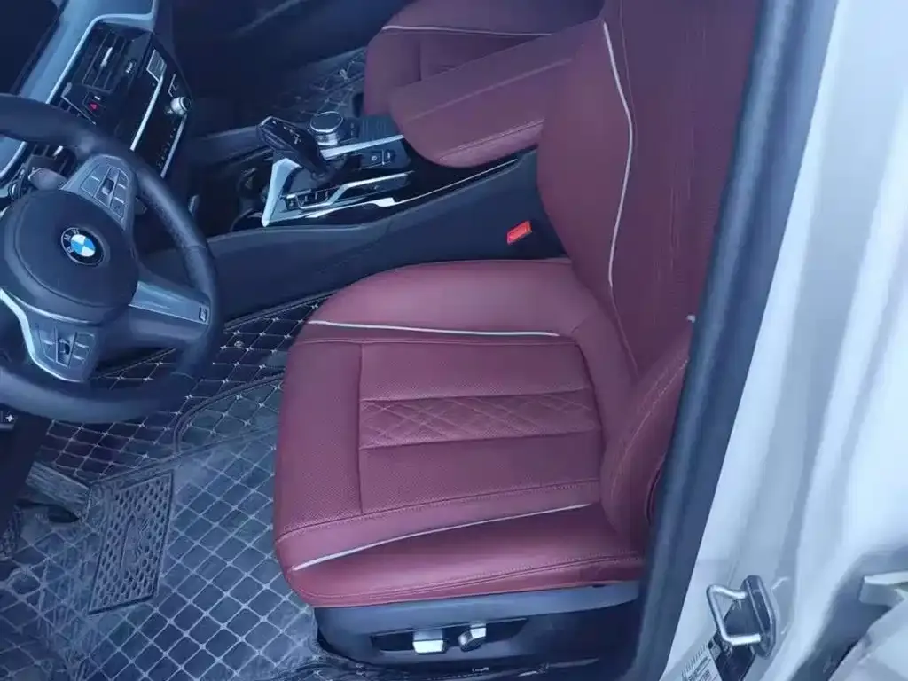 BMW 5 Series 2023 из CN, фото 8