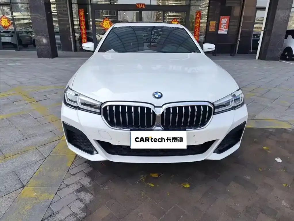 BMW 5 Series 2023 из CN, фото 6