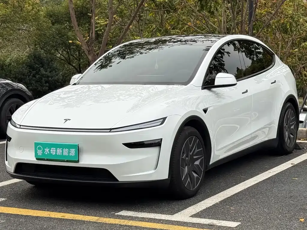 Tesla Model Y L — фото 1