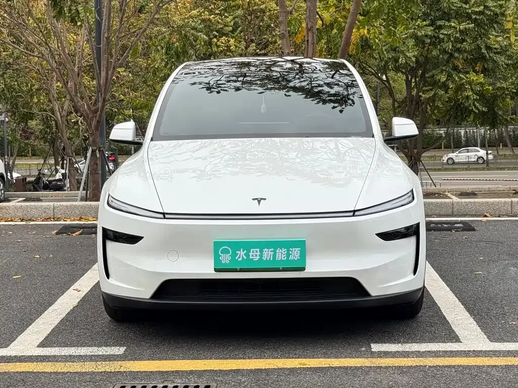 Tesla Model Y L — фото 10