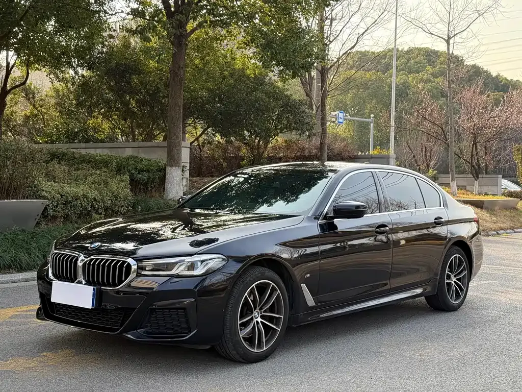 BMW 5 Series 2022 из CN, фото 1