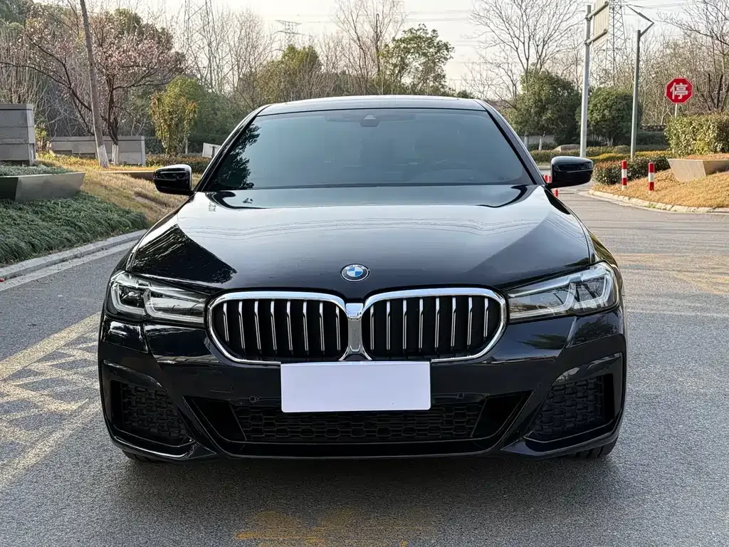 BMW 5 Series 2022 из CN, фото 2