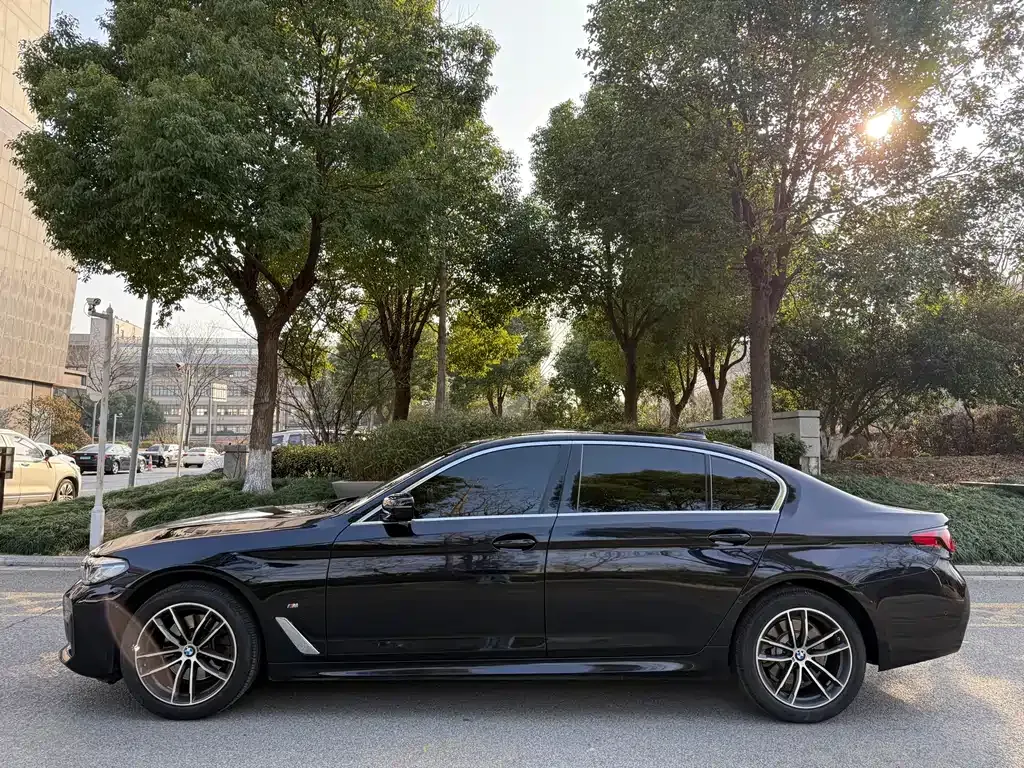 BMW 5 Series 2022 из CN, фото 3