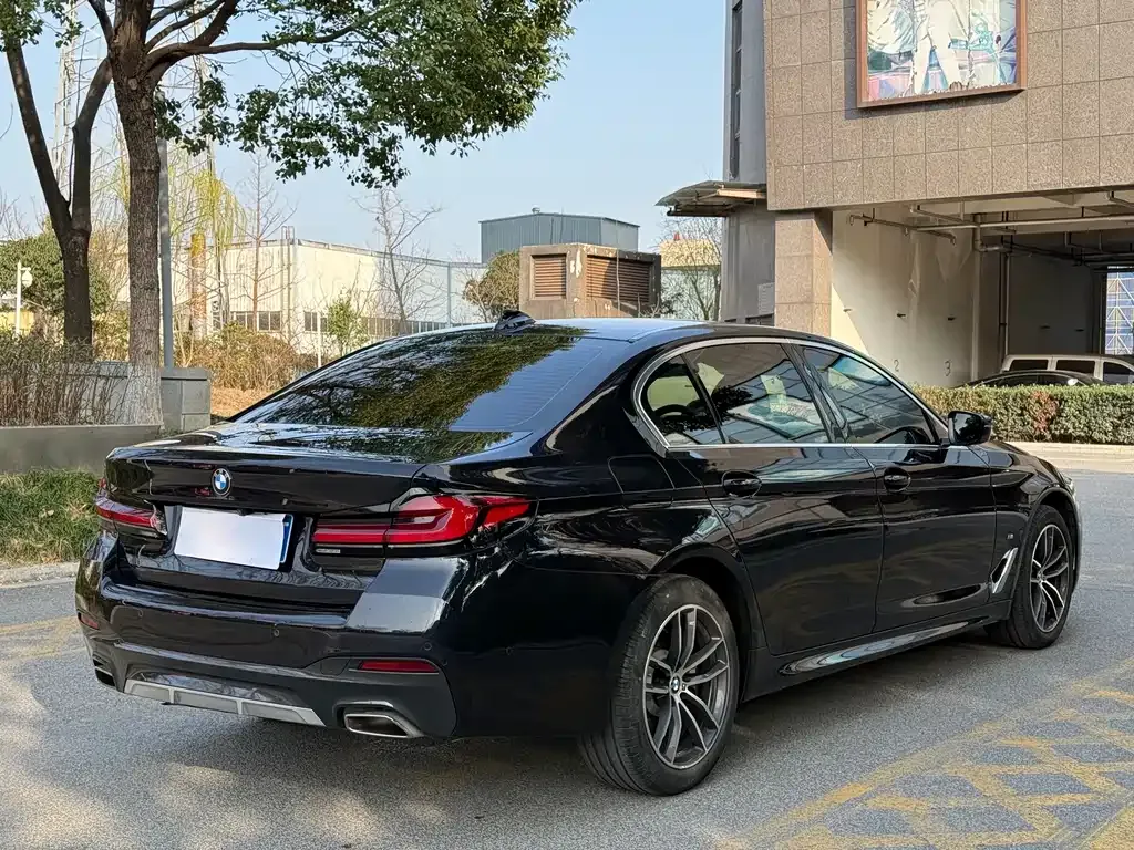 BMW 5 Series 2022 из CN, фото 9