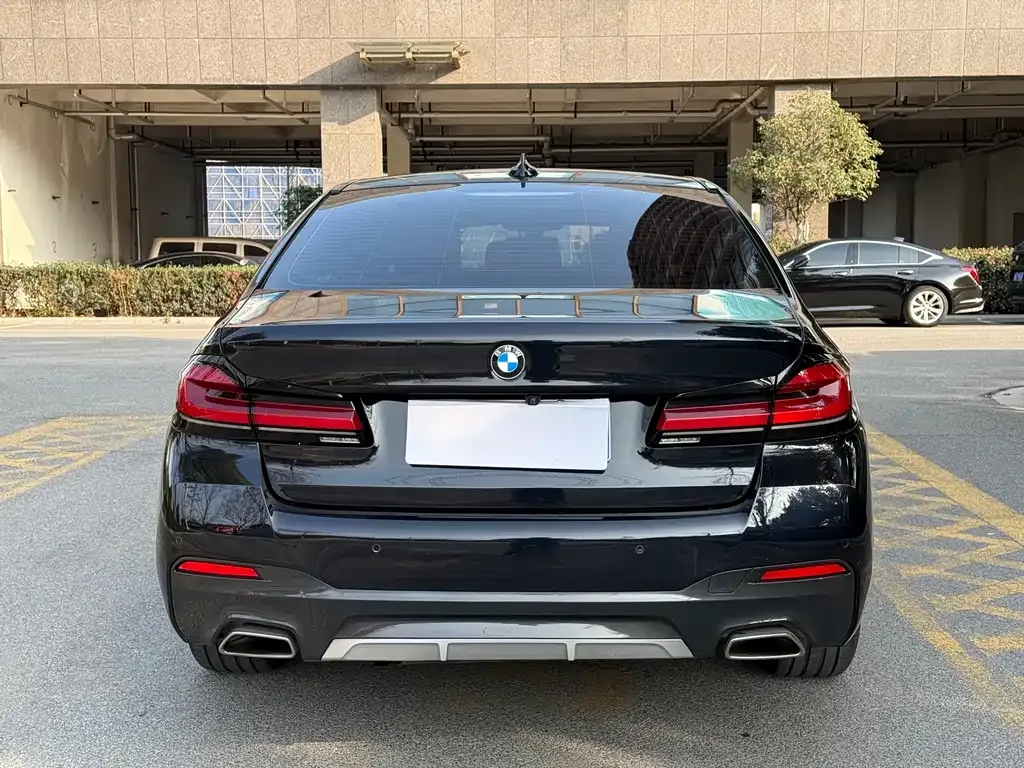 BMW 5 Series 2022 из CN, фото 8
