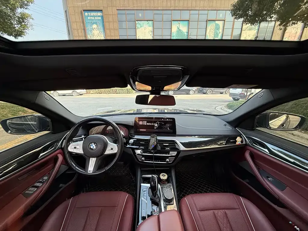 BMW 5 Series 2022 из CN, фото 4