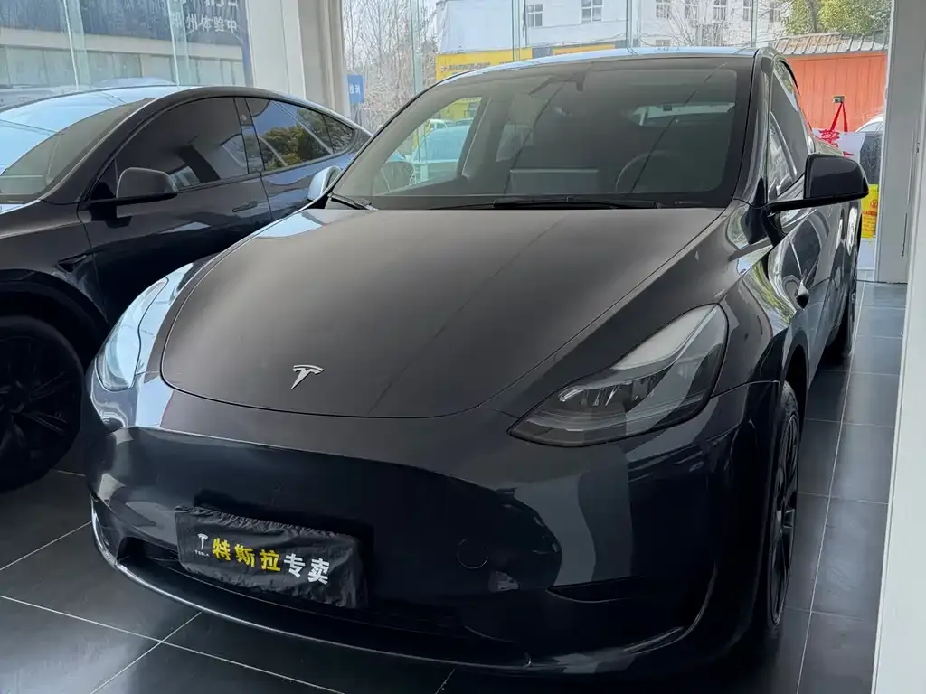 Tesla Model Y — фото 1