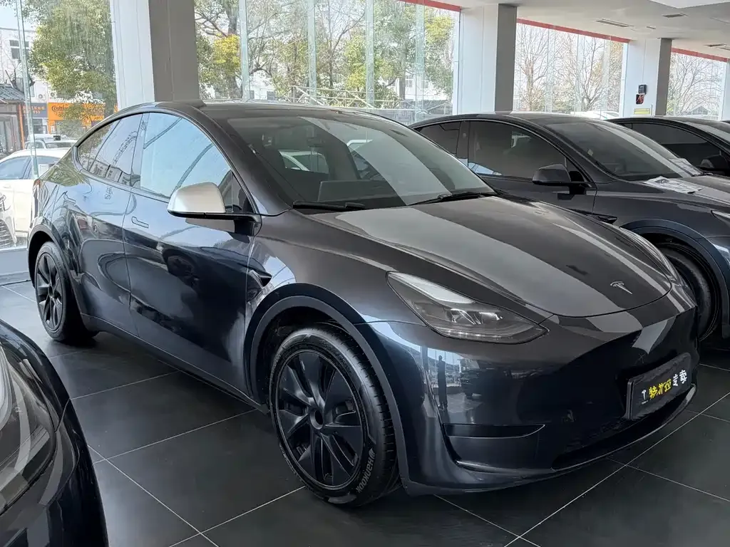 Tesla Model Y — фото 9