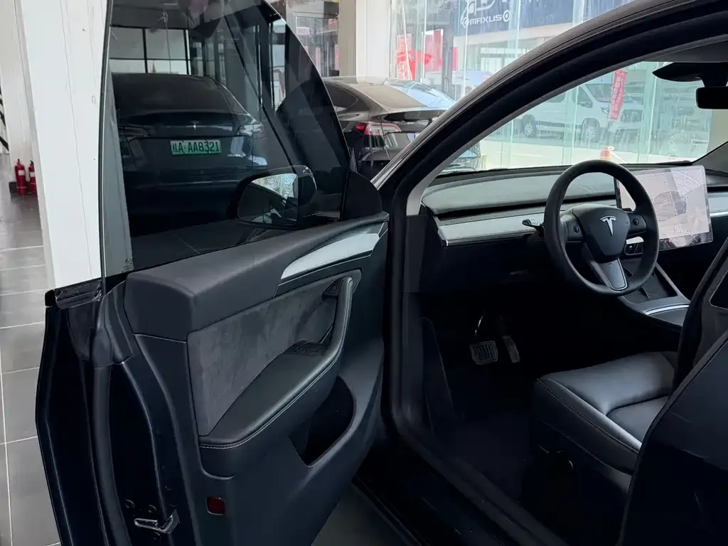 Tesla Model Y — фото 2