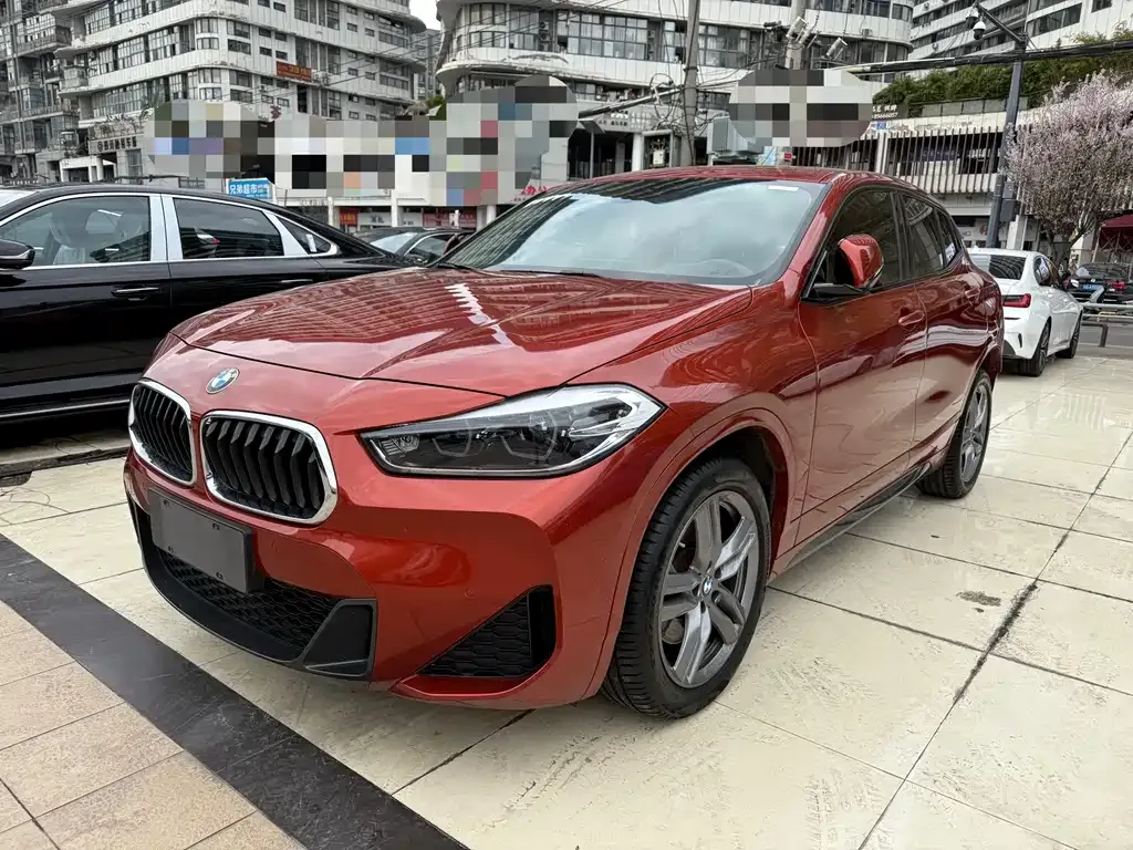 BMW X2 2021 из CN, фото 1