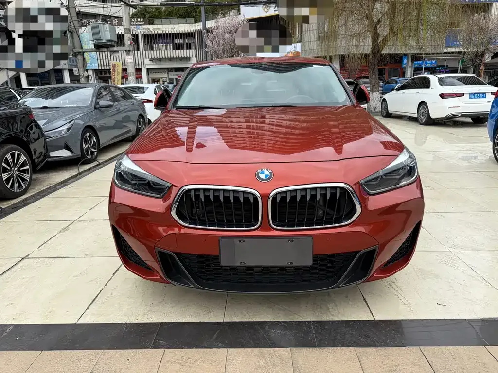 BMW X2 2021 из CN, фото 2