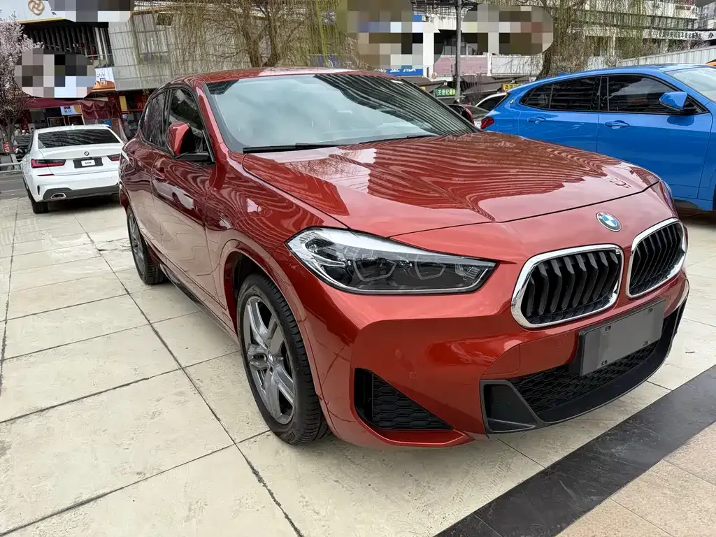 BMW X2 2021 из CN, фото 3