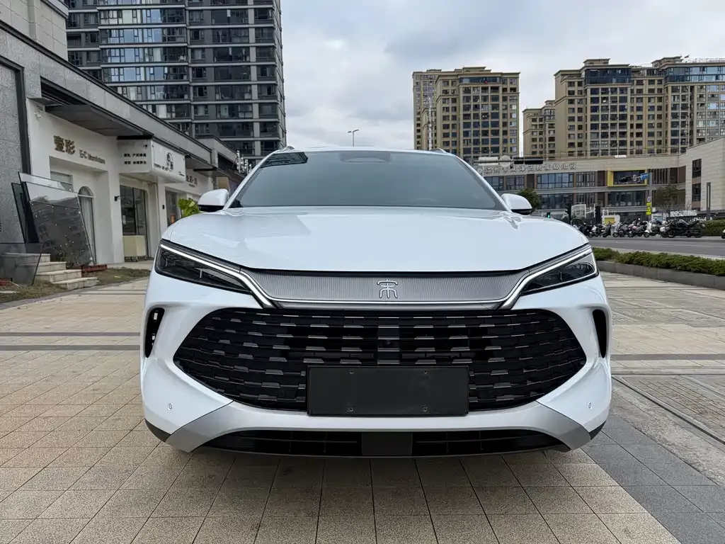 BYD L DM-i — фото 4