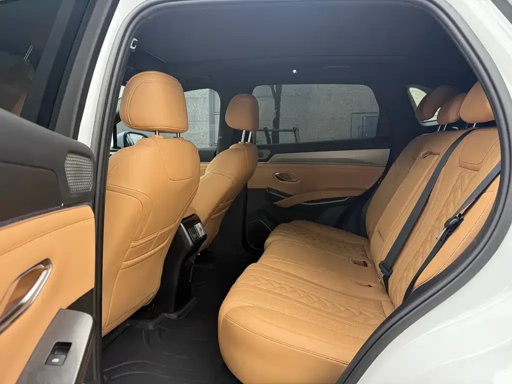BYD L DM-i — фото 6