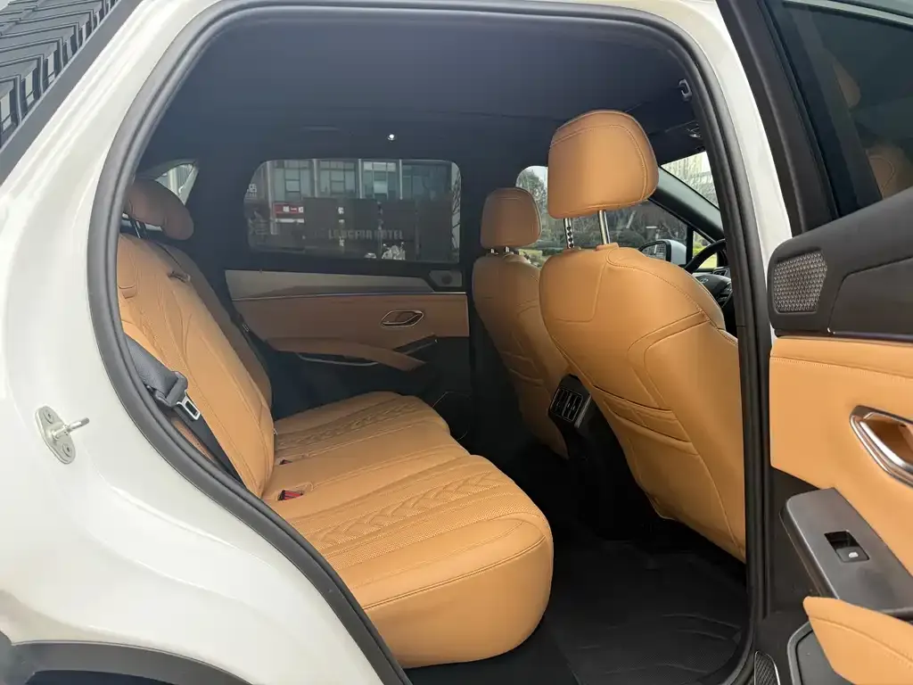 BYD L DM-i — фото 8