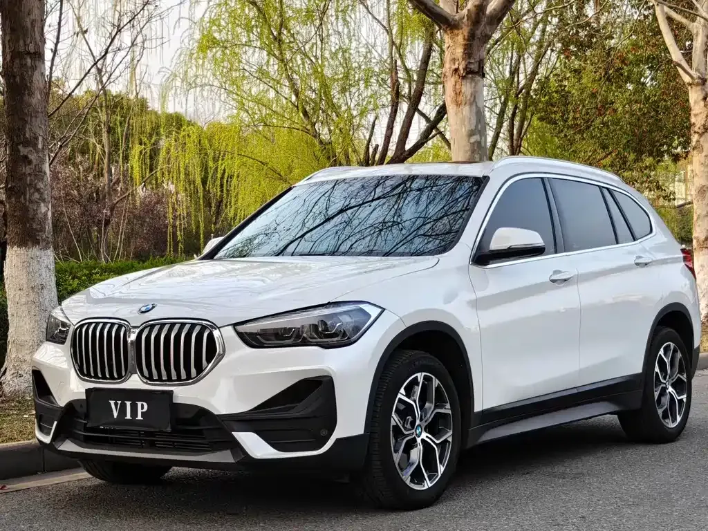 BMW X1 — фото 1