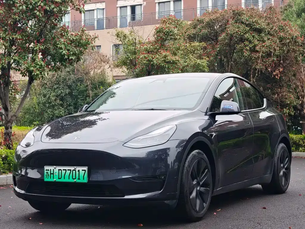 Tesla Model Y — фото 1