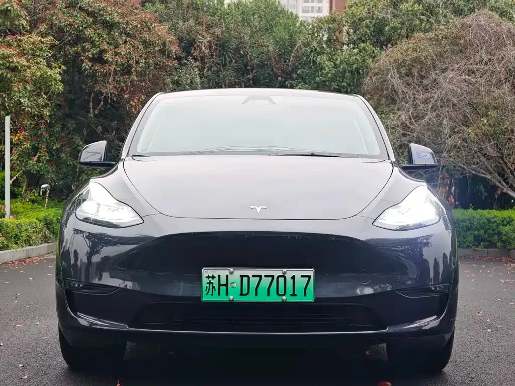 Tesla Model Y — фото 5
