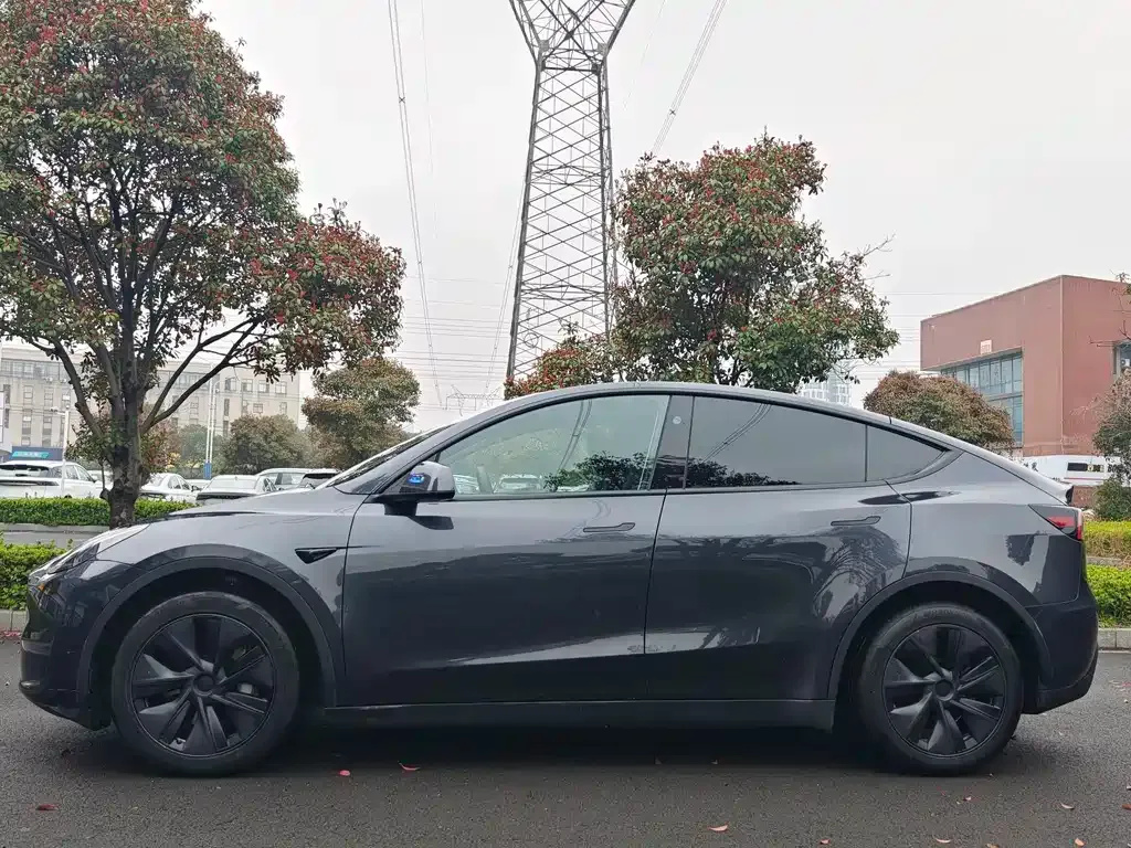 Tesla Model Y — фото 9