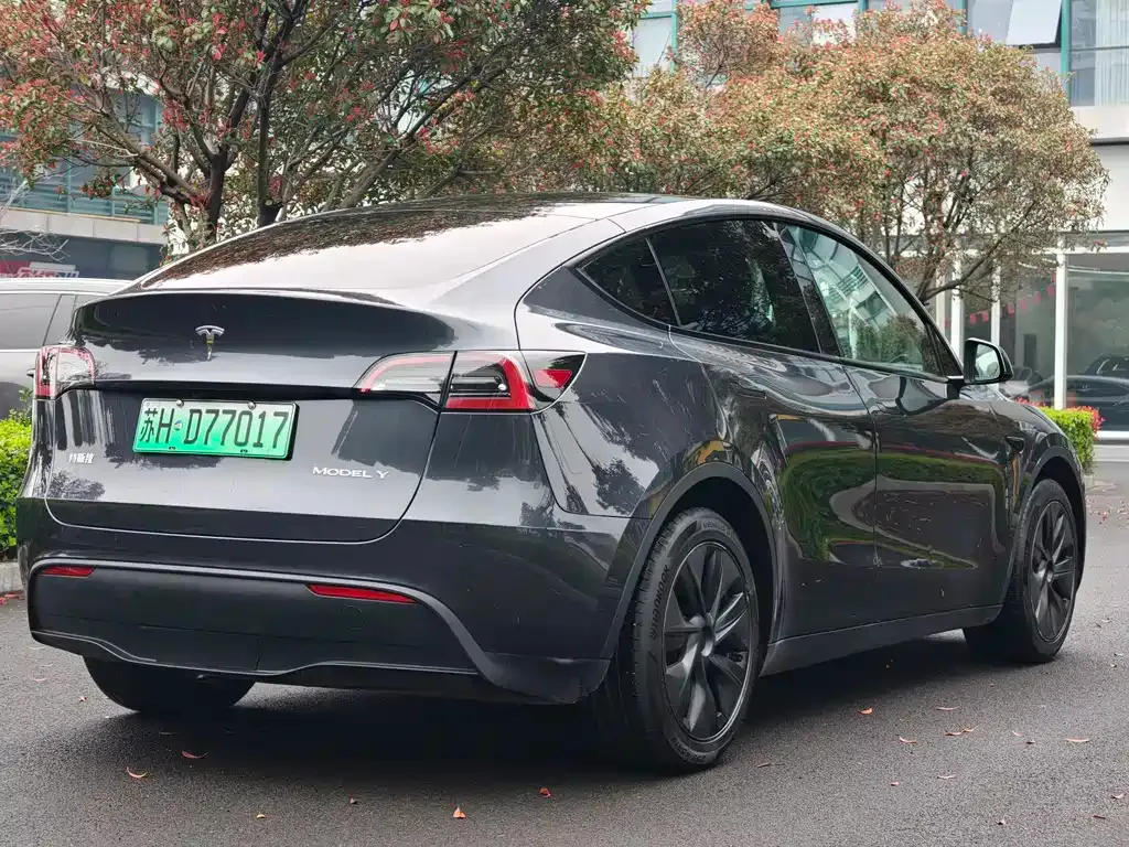 Tesla Model Y — фото 8