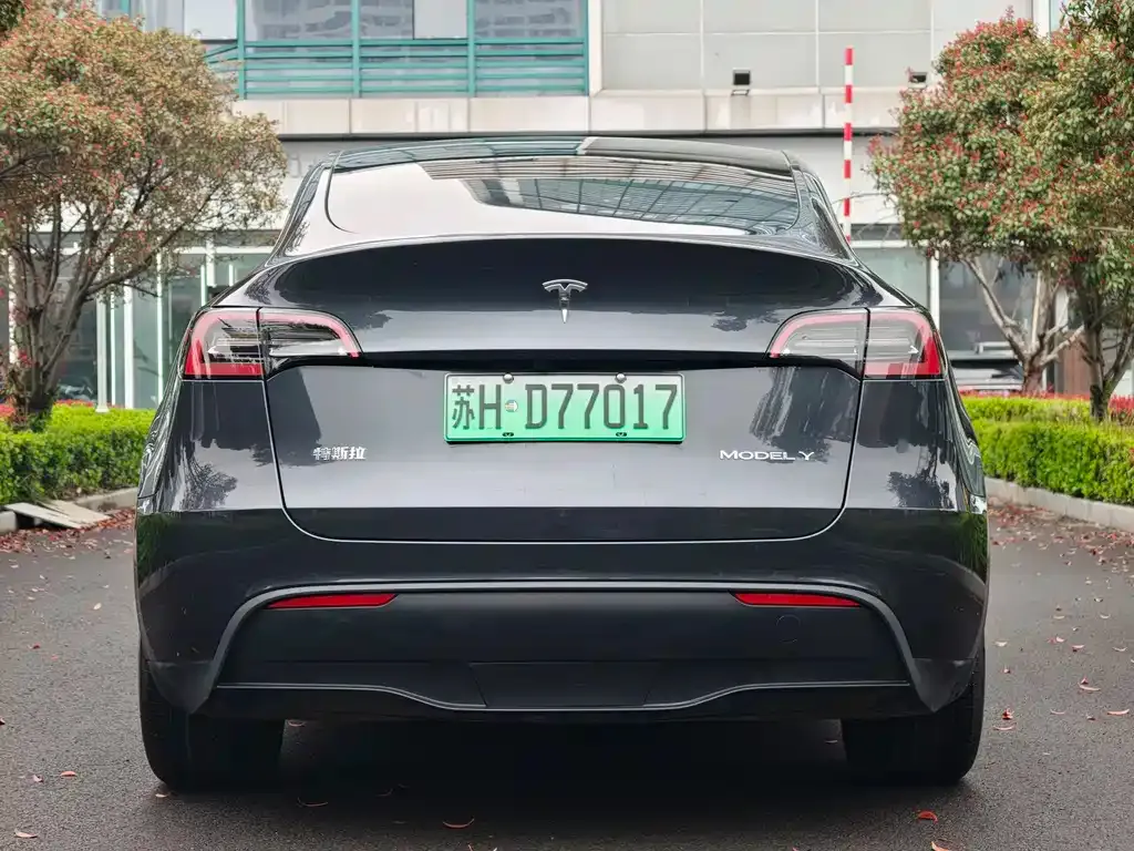 Tesla Model Y — фото 2