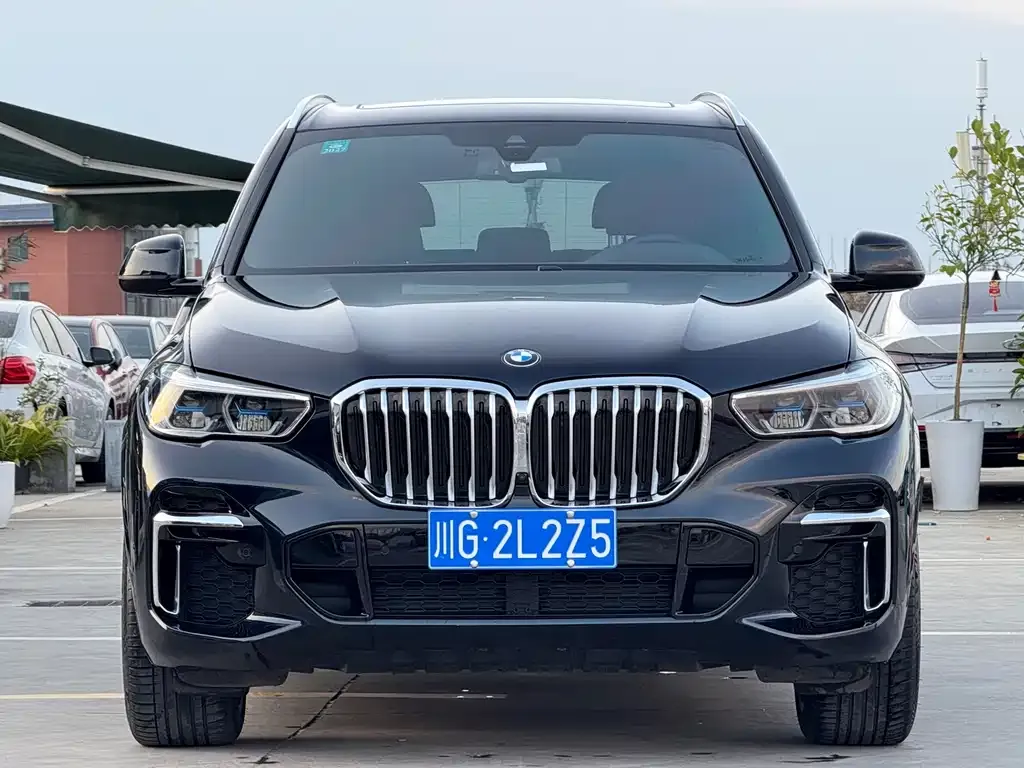 BMW X5 — фото 3
