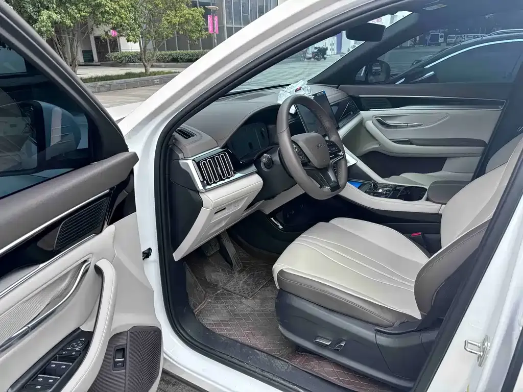 BYD PLUS New Energy — фото 3