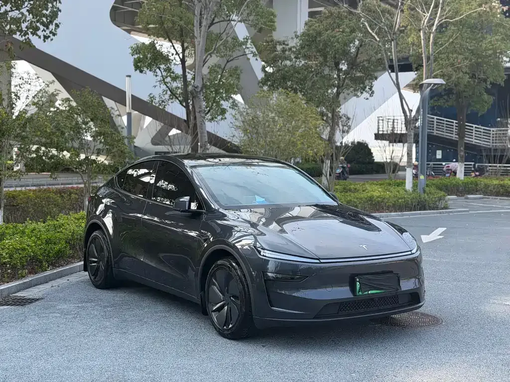 Tesla Model Y — фото 9