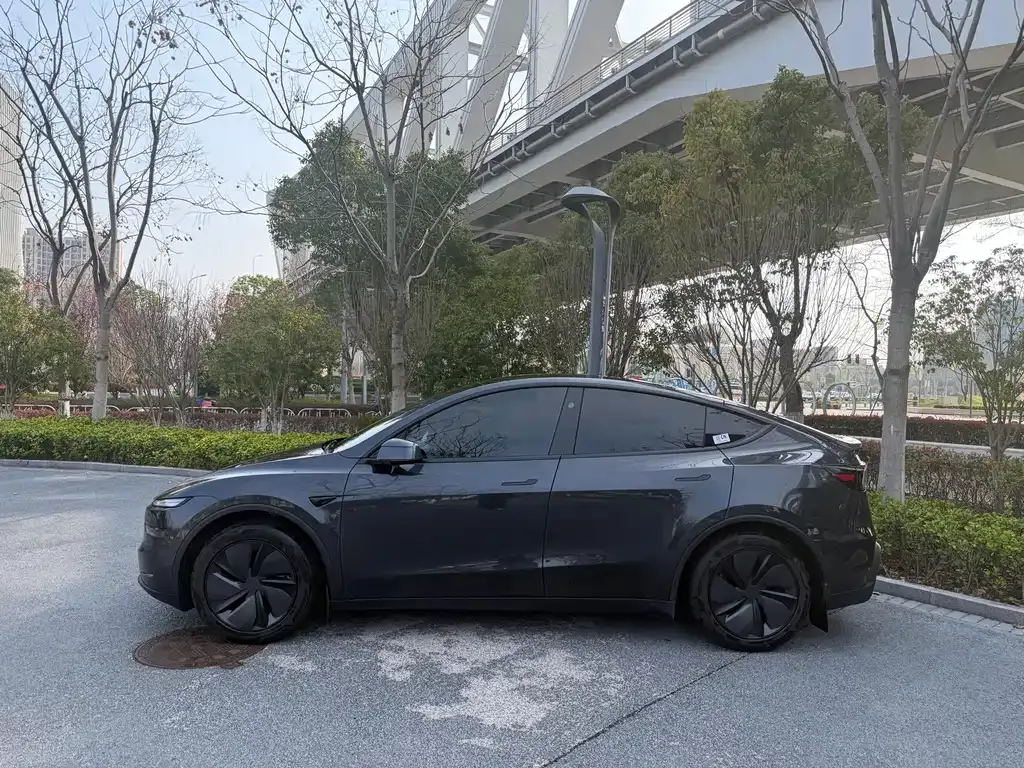 Tesla Model Y — фото 8