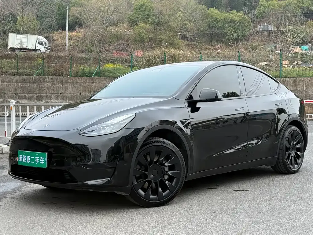 Tesla Model Y — фото 1
