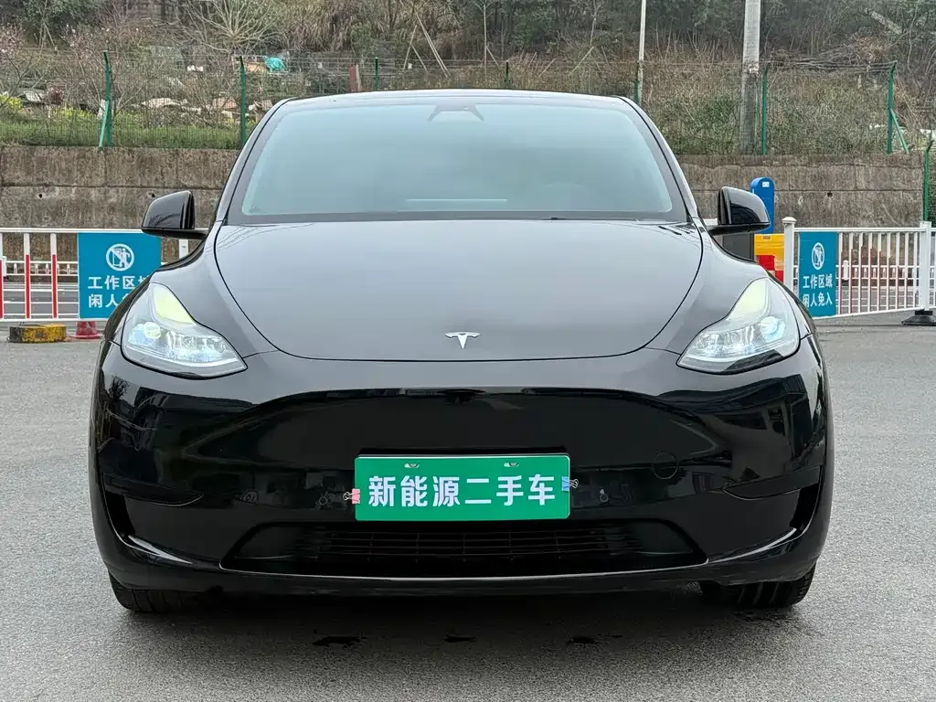 Tesla Model Y — фото 6