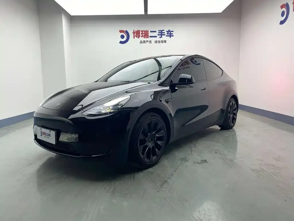 Tesla Model Y — фото 1