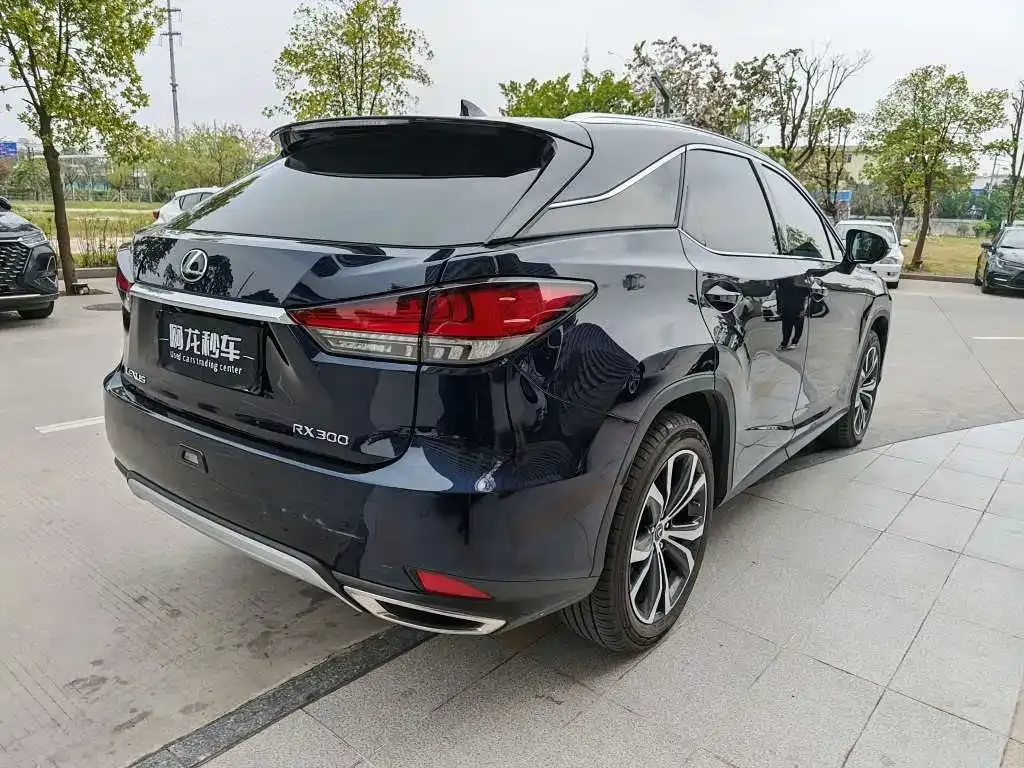Lexus RX — фото 3