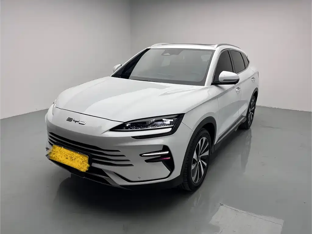 BYD PLUS New Energy — фото 1