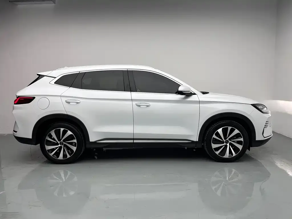 BYD PLUS New Energy — фото 10
