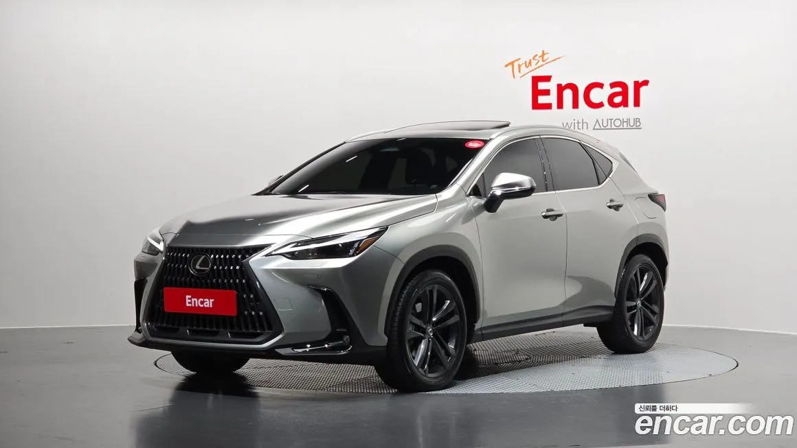 Lexus NX 2025 из KR, фото 1