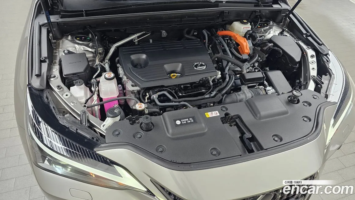 Lexus NX 2025 из KR, фото 8