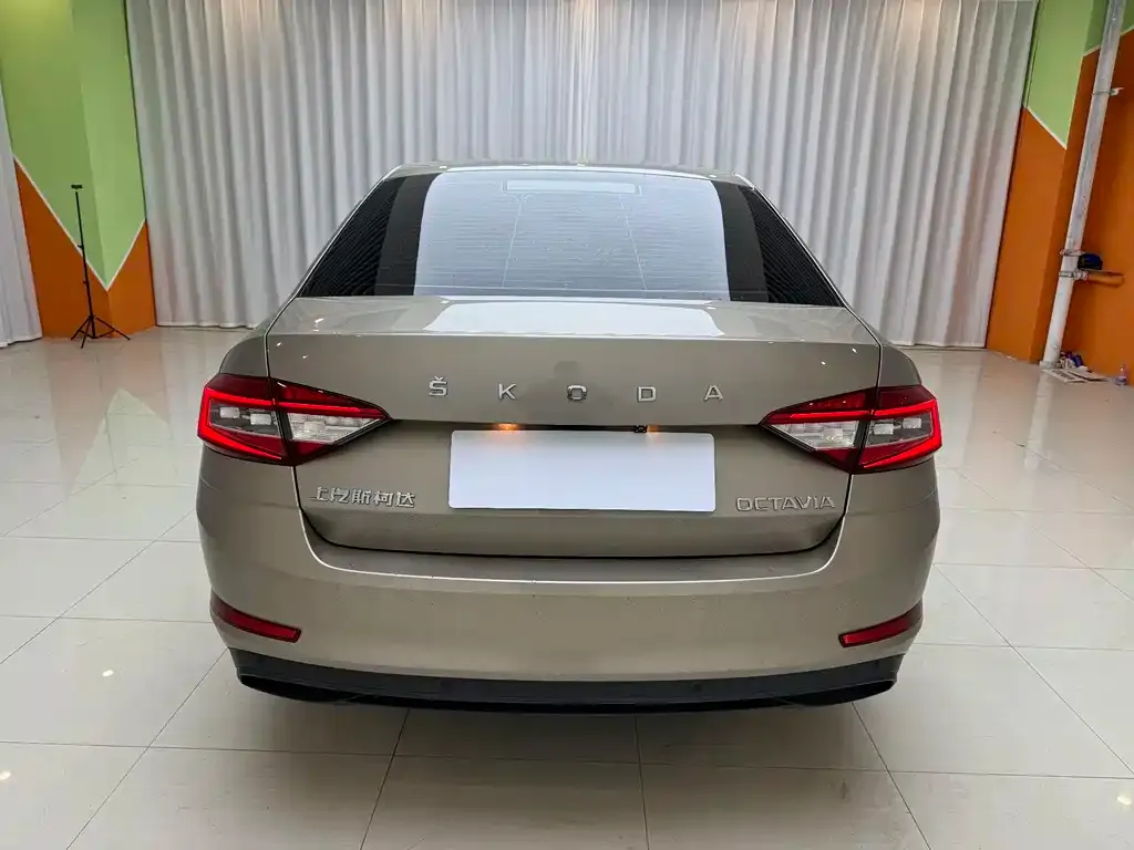 Skoda Octavia 2022 из CN, фото 5