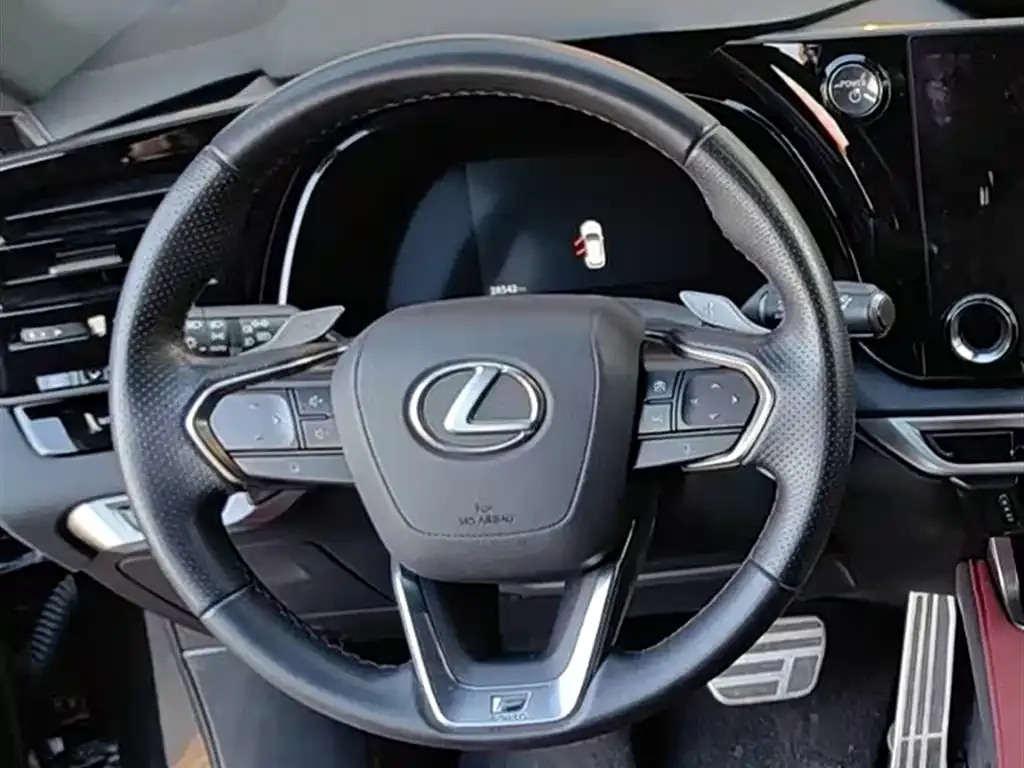 Lexus RX — фото 10
