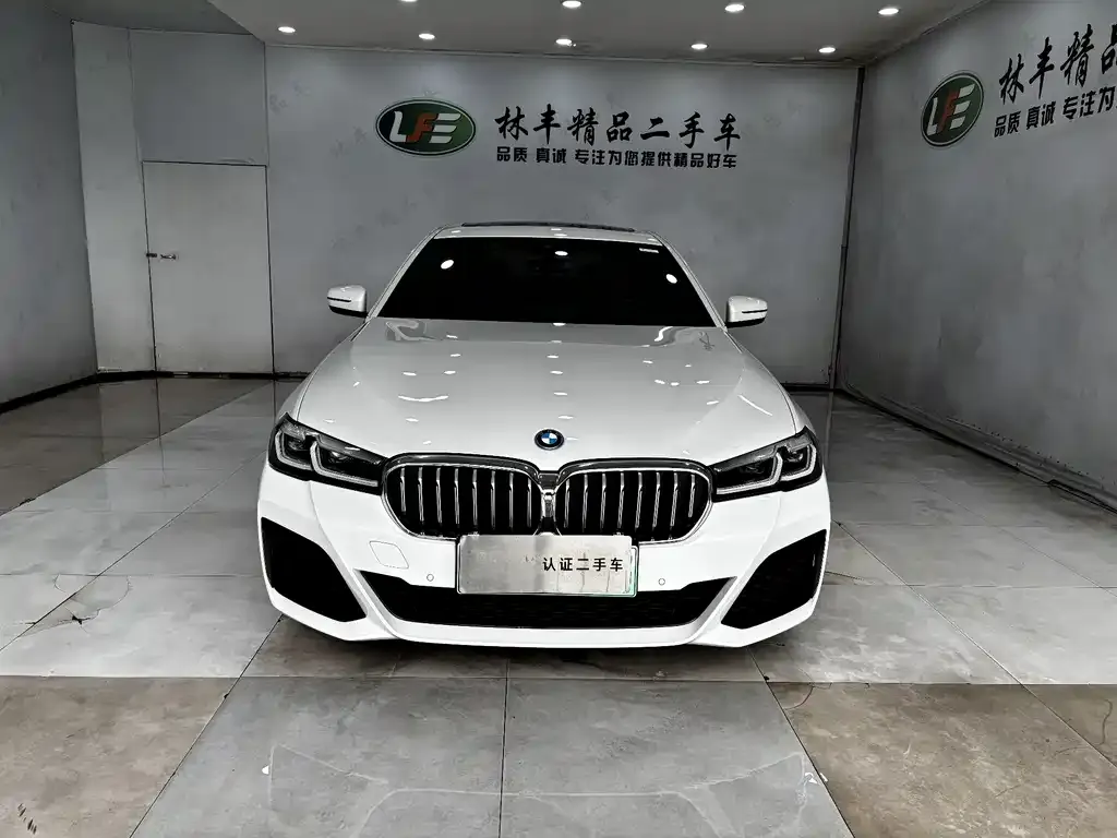 BMW 5 Series New Energy — фото 8