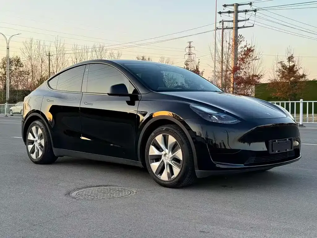 Tesla Model Y — фото 7