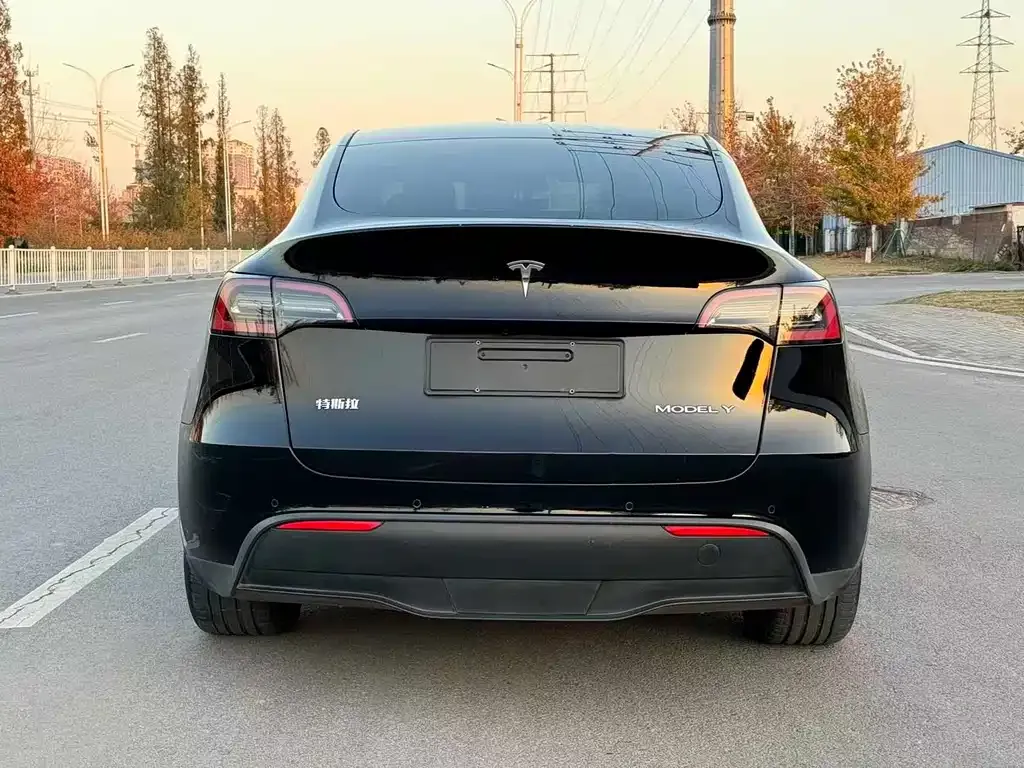 Tesla Model Y — фото 9