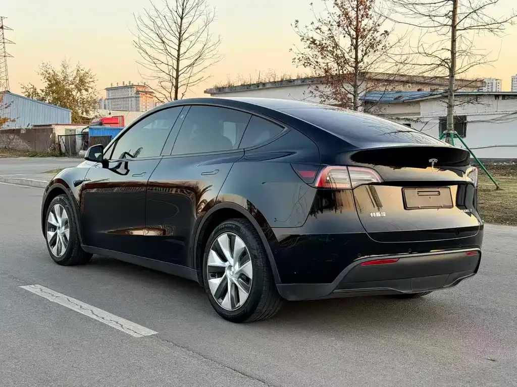 Tesla Model Y — фото 8