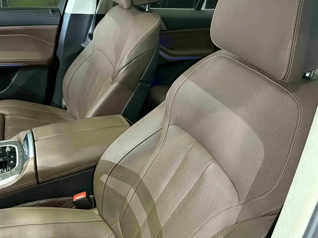 BMW X5 (Import) 2021 из CN, фото 5