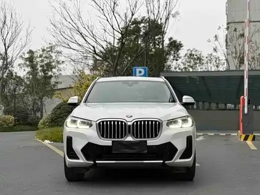 BMW X3 2021 из CN, фото 2